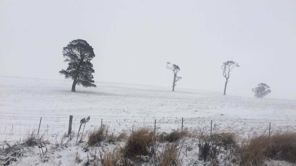 Tablelands are expecting snow.
