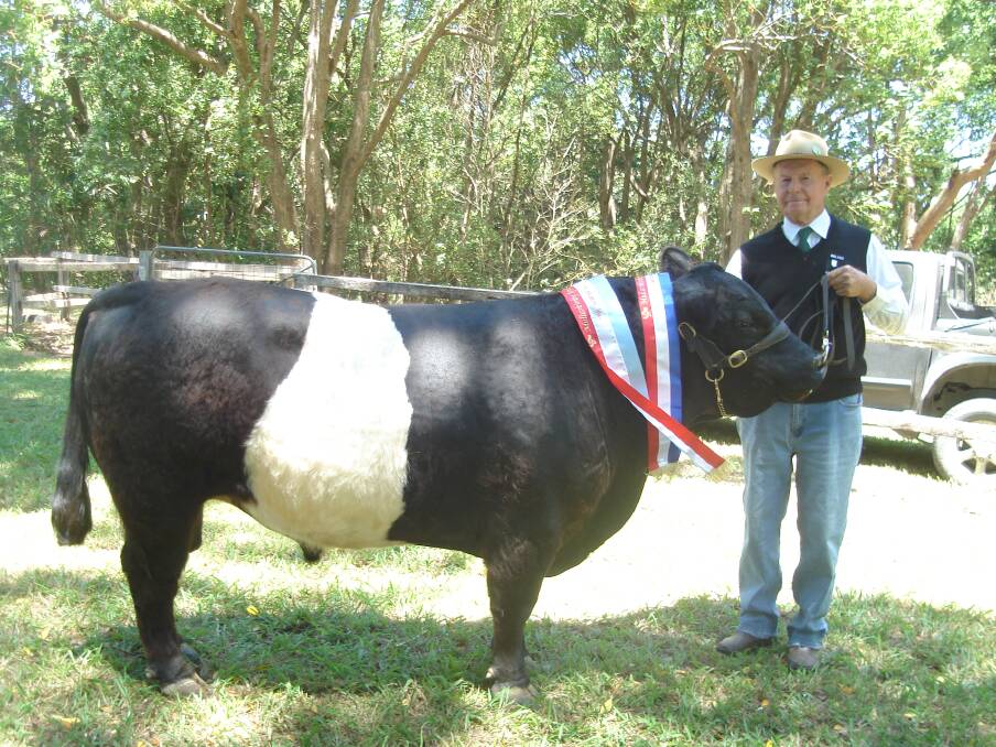 ON DISPLAY: Marion and Bryan Watts are hosting a field day on their Bowraville property and their minature Belted Galloway cattle will be on display. 