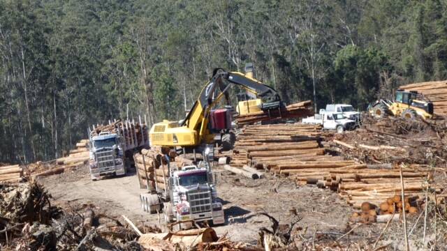 Letter to the Editor: Forestry Corporation’s modus operandi
