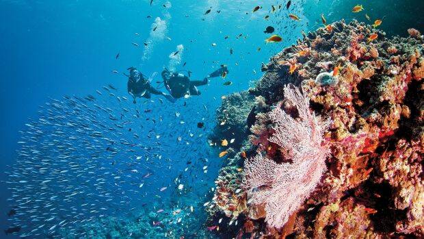 Is the Great Barrier reef nearing an end?