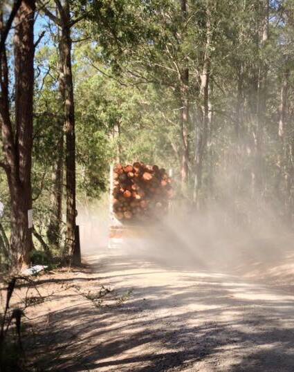 Logging operation – Tarkeeth State Forest