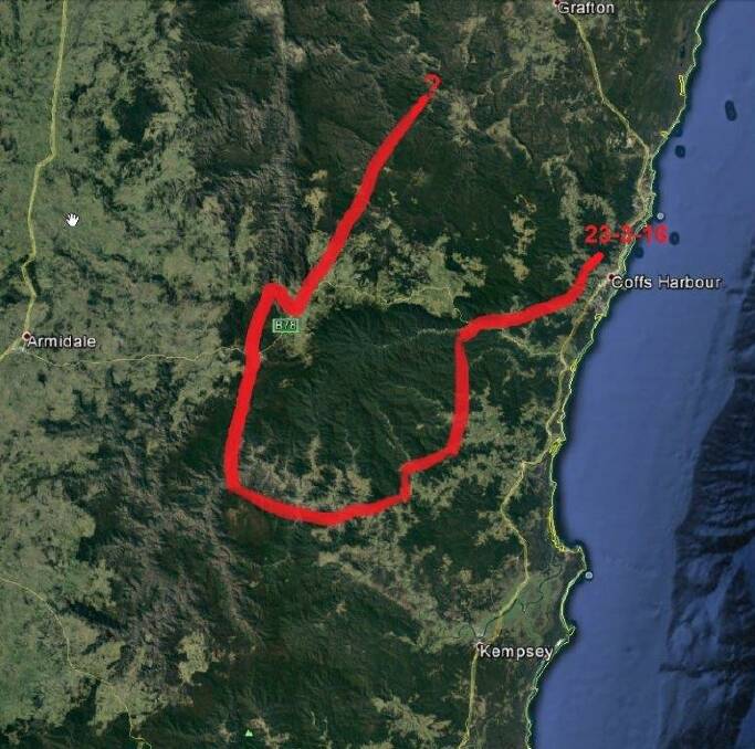 Approximate route of the wild dog dubbed Midnight (base map: Google Earth)
