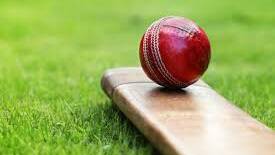 Cricket chief backs premier league proposal