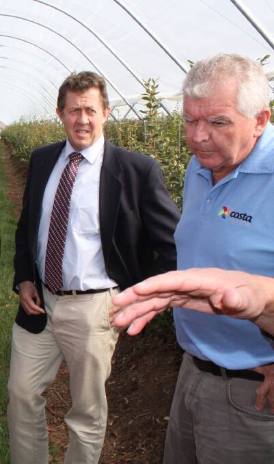 Federal Member for Cowper and Assistant Minister to the Deputy Prime Minister Luke Hartsuyker visit a blueberry farm on the mid North Coast.