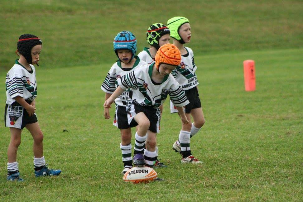 Rugby League: U6s in action against Coffs. 