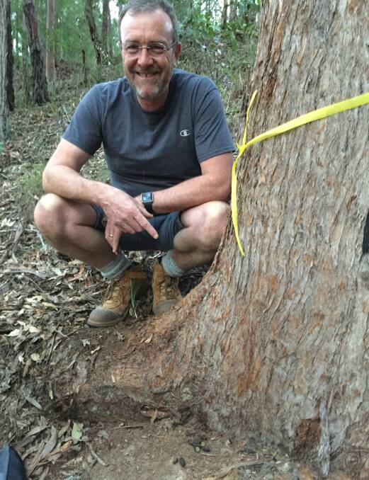 Kevin Evans found scats at the base of this tree