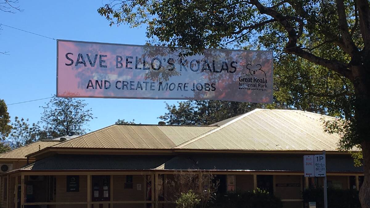 A banner erected by the Bellingen Environment Centre outside Council earlier this month to urge them to support the proposed Great Koala National Park