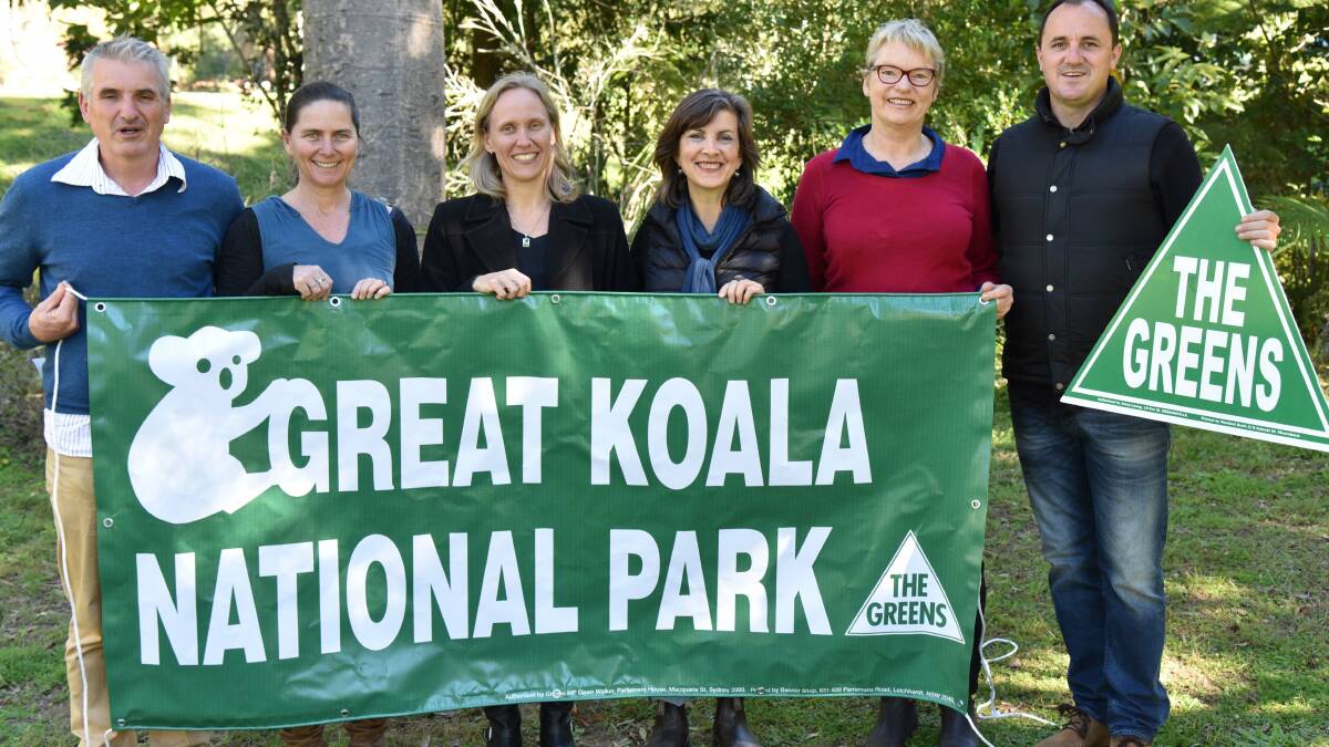 Greens slam Pavey’s call on koalas