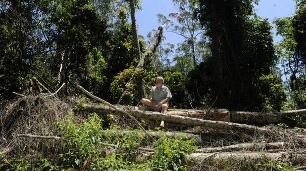 FIGHTING FOR OUR FORESTS: Dailan Pugh