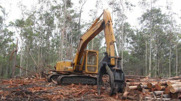 New report alleges illegal Forestry Corp practices