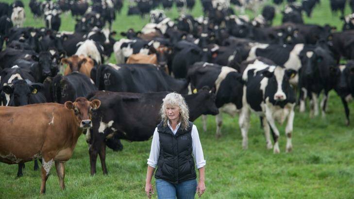 Dairy farmer Kate Lamb  described Murray Goulburn's milk price cut as ''a kick in the guts''.  Photo: Jason South