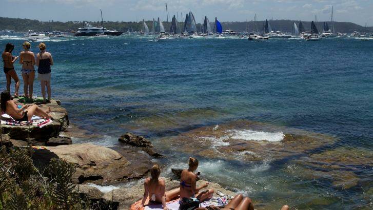 Spectators gather at Watsons Bay to watch the start of the Sydney to Hobart yacht race, Photo: Wolter Peeters 