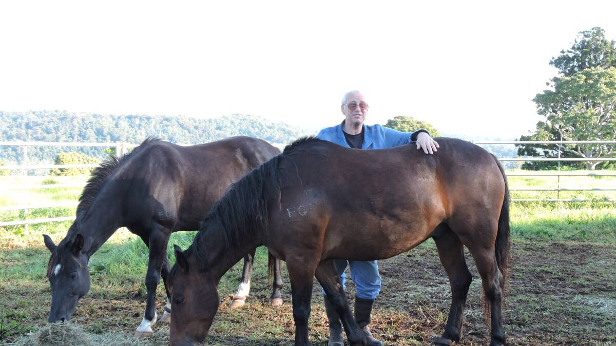 1 man, 3 wild horses and 5500kms of wilderness