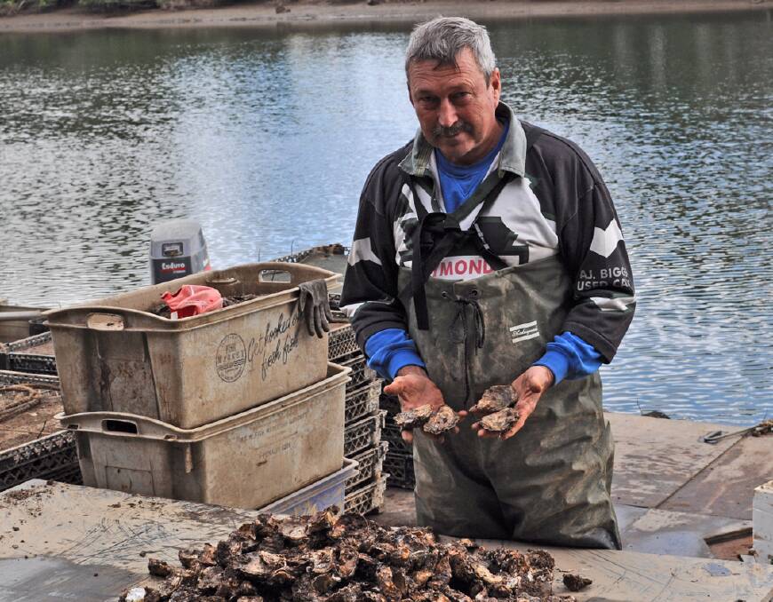 Oyster farmer still waiting after seven years