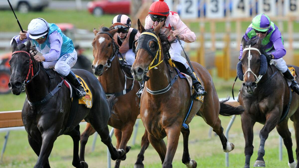 READY TO RACE: the Bowra Cup is on this Saturday