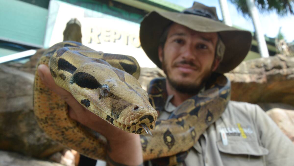 Snakes alive: Stuart Johnson, reptile expert, with a harmless carpet python. Photo: Ivan Sajko
