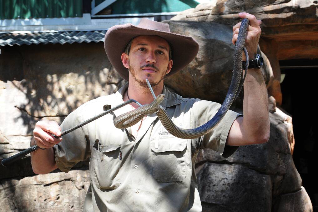 Danger signs: Snake expert Stuart Johnson holding an eastern brown snake - which is one of the worlds deadliest. Photo: Ivan Sajko