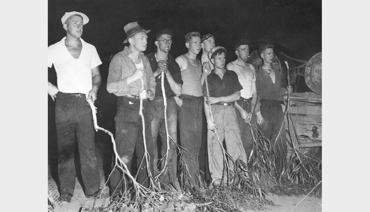 Bushfire fighters line up at the 1939 Black Friday fires. Photo: FAIRFAX ARCHIVES