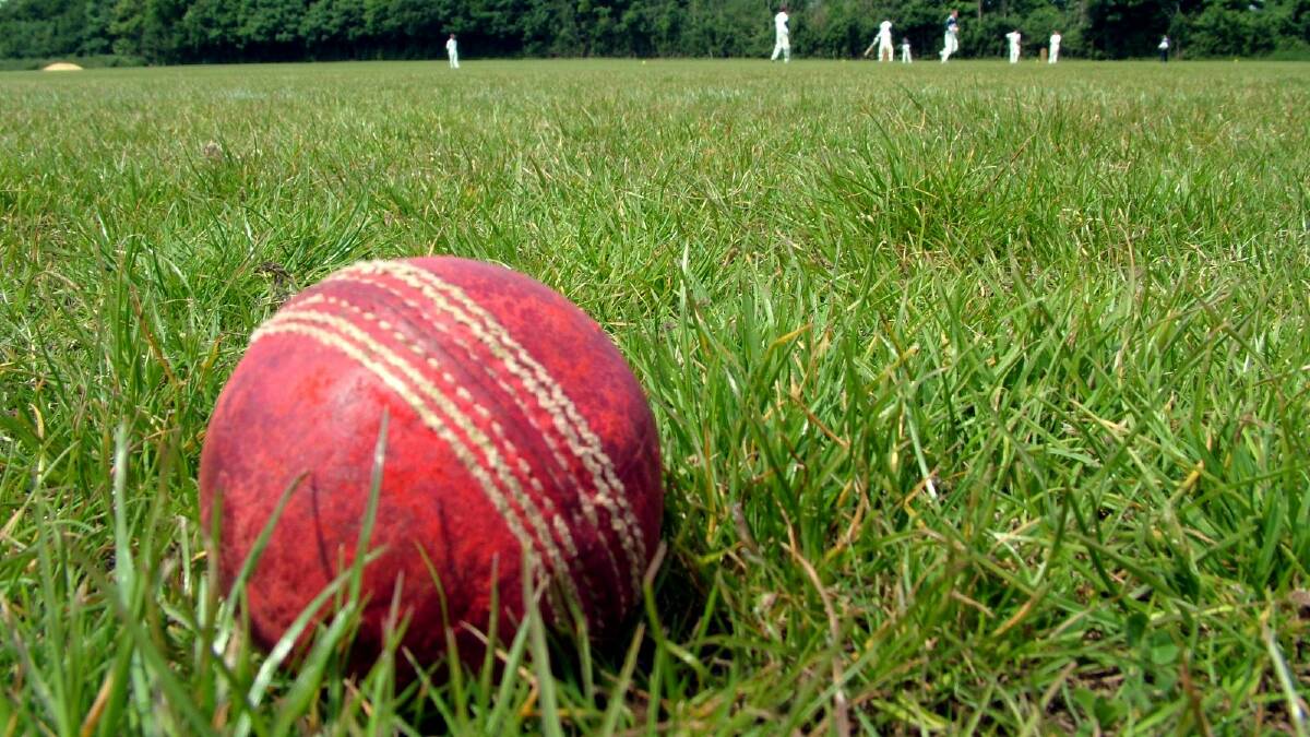 On a good wicket: Young cricketers are urged to take part in the cricket clinic.
