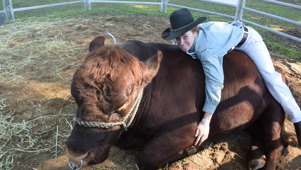 BIG HUGS: Alana McBaron, 17, from Bellingen High gives her favourite bull Leroy a hug.