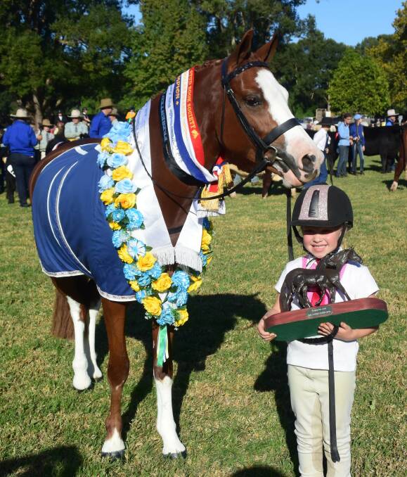 TOP JOB: Five-year-old Ella Hardes from Wauchope and her horse Kooralyn Red Rock, winner of Supreme Led Exhibit, with the Grand Parade behind.