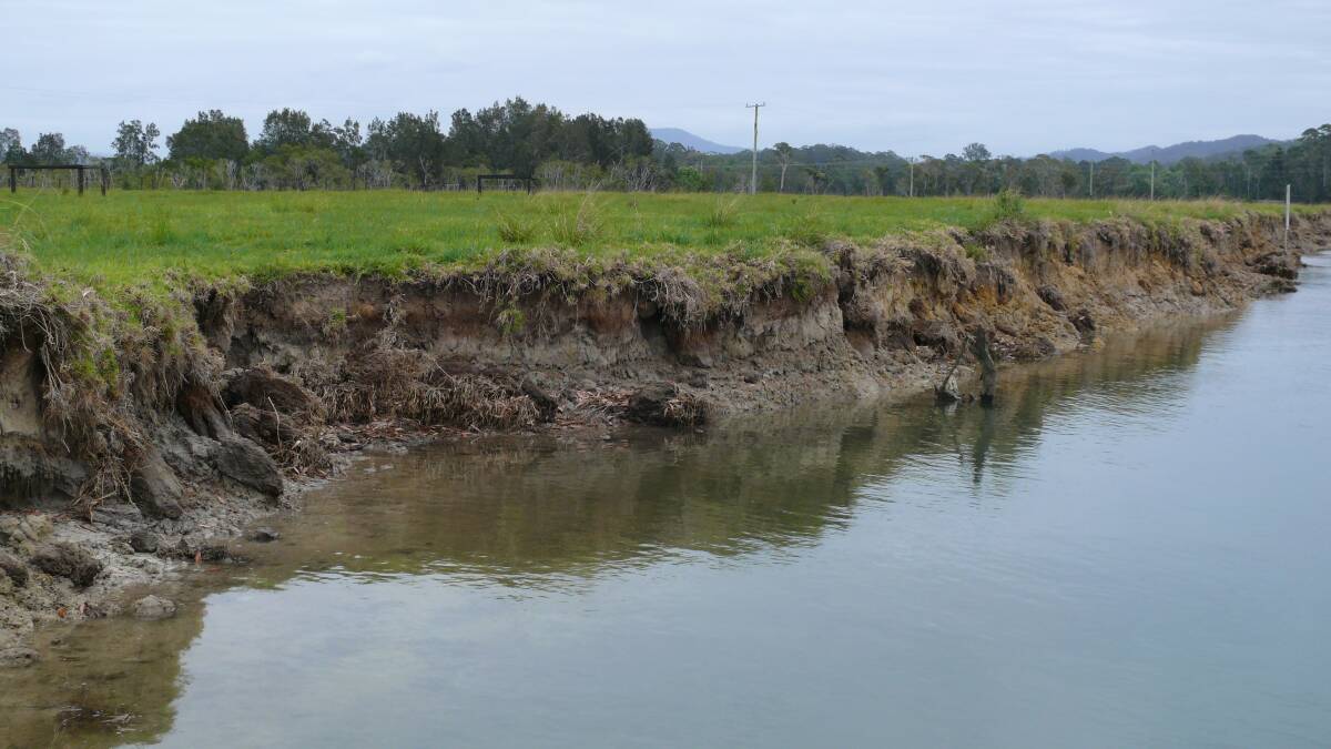 A section of eroded riverbank