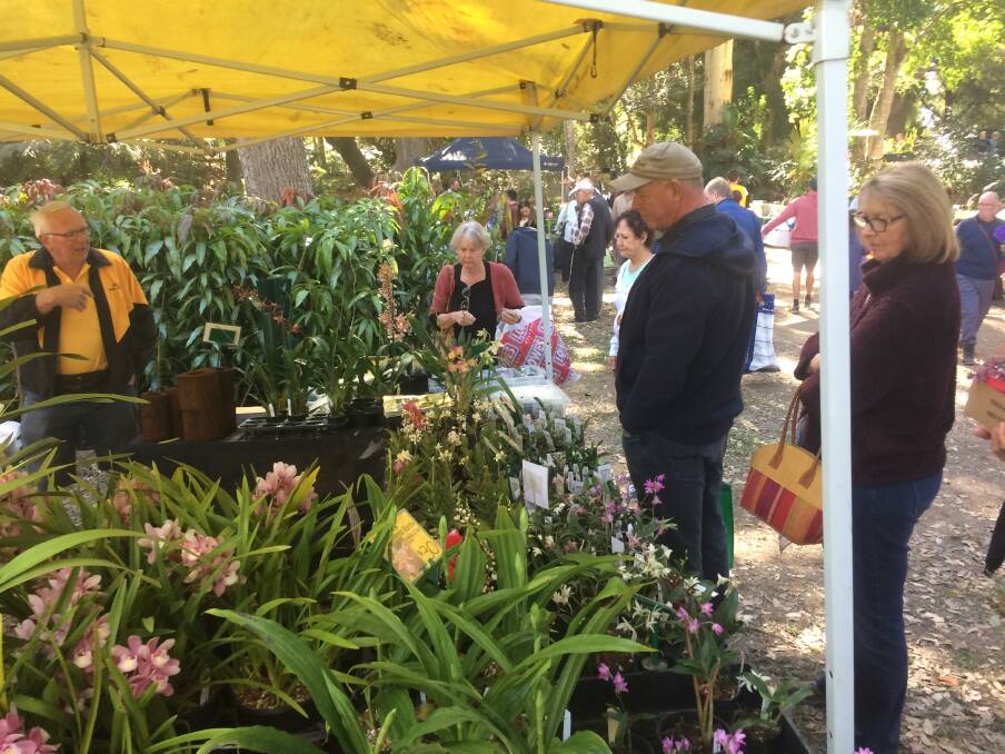 PLANTS-A-PLENTY: Enjoy a casual day shopping for plants and eating this Saturday under the shady trees in Market Park as it hosts the Bellingen Plant Fair. 