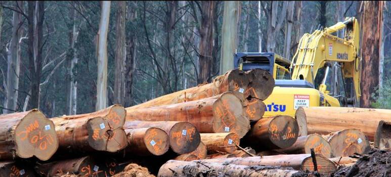 Proposed logging near Bellingen delayed by fires
