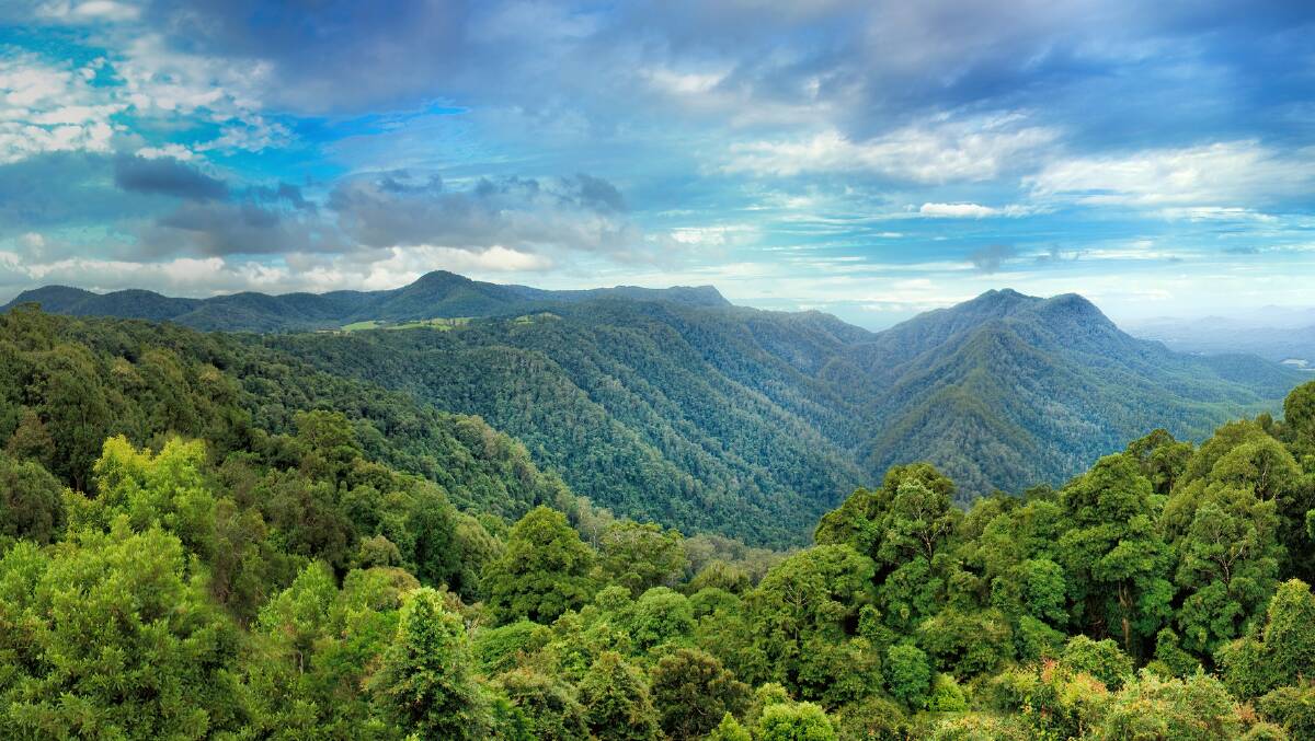 EXPLORE: Cruise along Waterfall Way, one of Australia’s most scenic roads,enjoy the waterfalls and wildlife. Eat at chic cafes and check out quaint shops in Dorrigo.