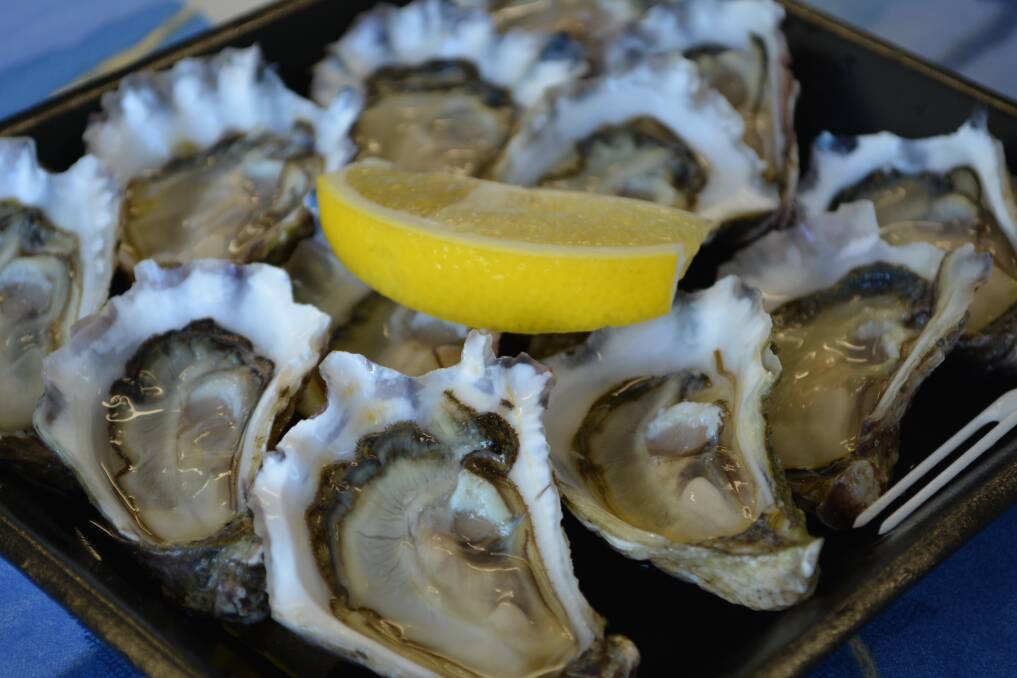 DELICIOUS OYSTERS: John Lindsay has been growing oysters on the Bellingen River for over 30 years and is the largest supplier of locally grown oysters.