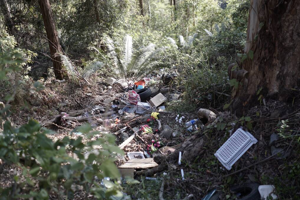 Rubbish tipped into steep terrain off Waterfall Way. Photo Jeanette Keough