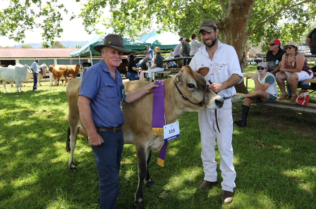 Andrew Marks with supreme dairy cow of Dorrigo Show 2017, Kenarie High Delilah, and steward Lloyd Walker