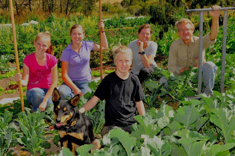 Homegrown Organics Masters of Fresh. The Bailey Family on their productive market garden at Rollands Plains, north of Wauchope