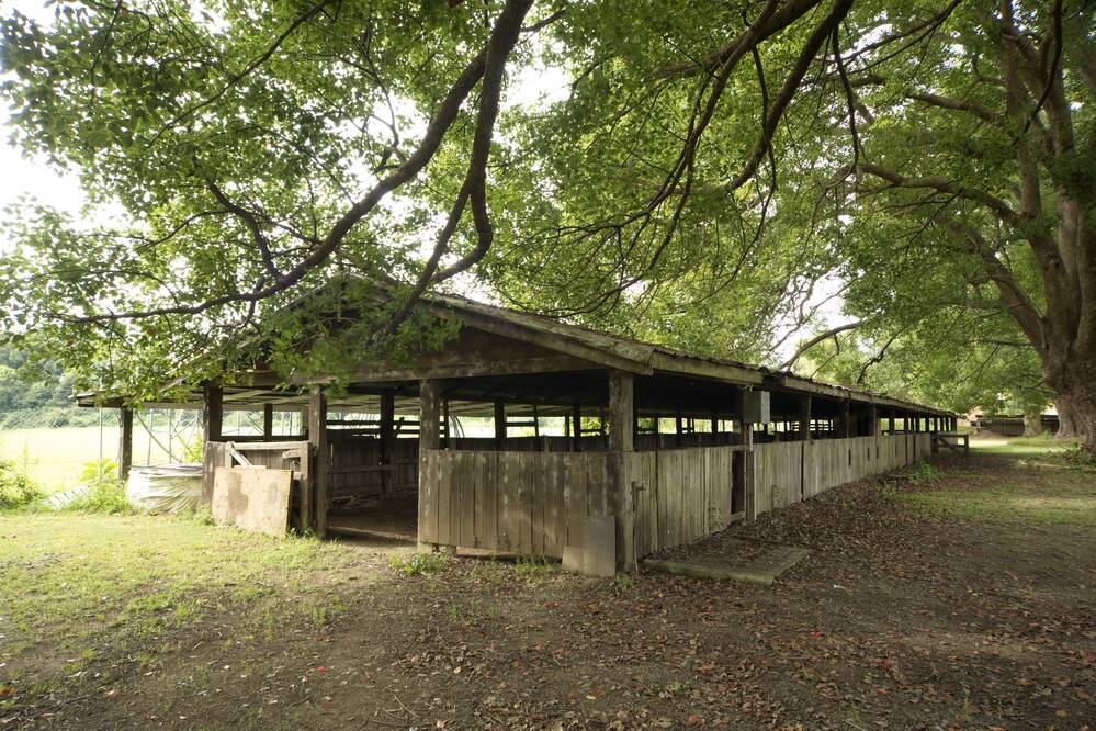 The dairy cattle pavilion before renovation work began