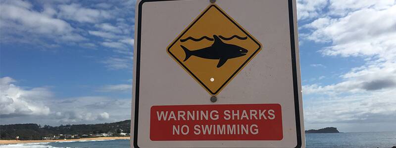 Urunga Beach closed after shark encounter