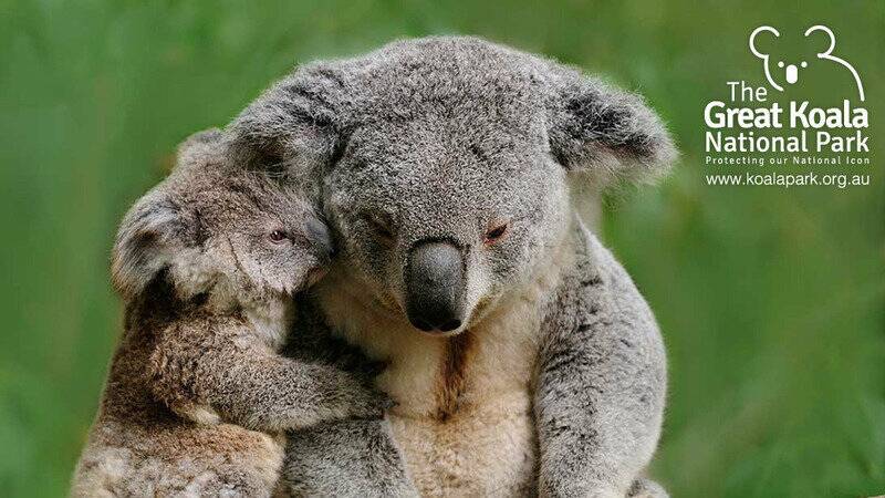 Not just for koalas: Recreation and tourism potential of a Great Koala National Park