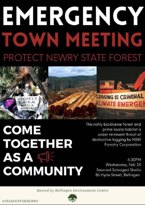 Action to save Newry State Forest from logging