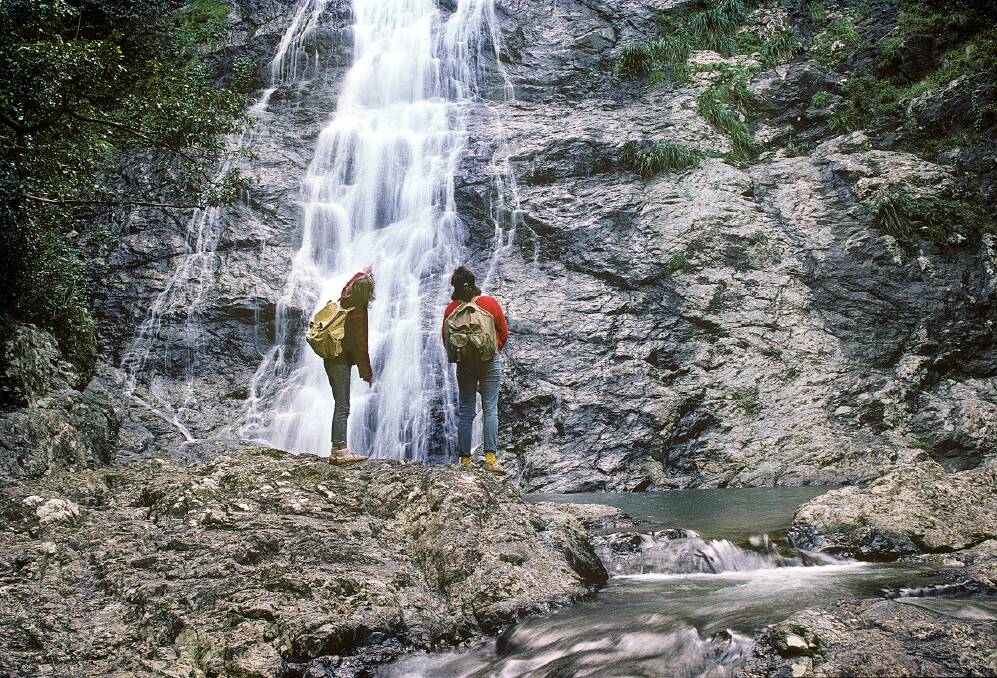 Visitors admiring a waterfall in the Bellinger River National Park. Photo by Tim Aickin.