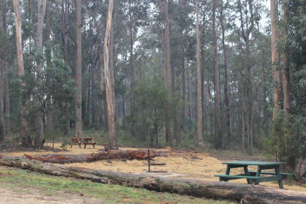 State forests from north of Sydney to Queensland border closed