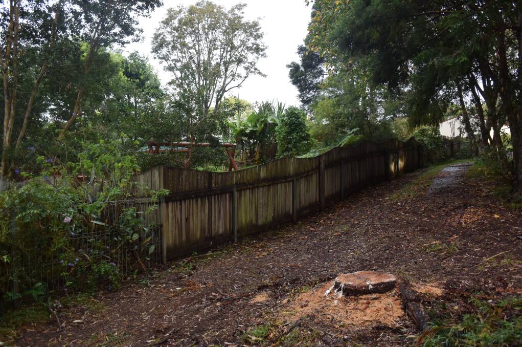 The stump of the former Bunya Pine and the fence of the nearby childcare centre.
