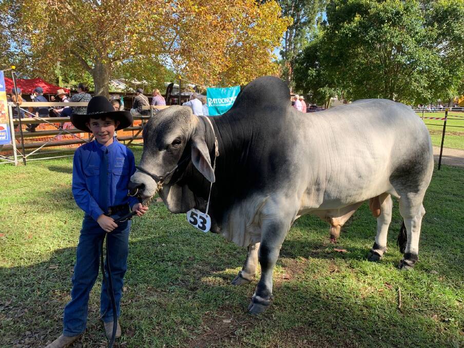 Daniel Pryor with his Brahman Bull Bandit, winner of Supreme Bull in 2019