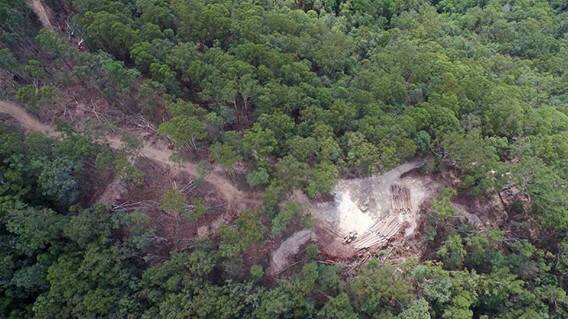 An aerial shot of Sunny Corner a couple of days after logging commenced. Photo by Dan Bur.