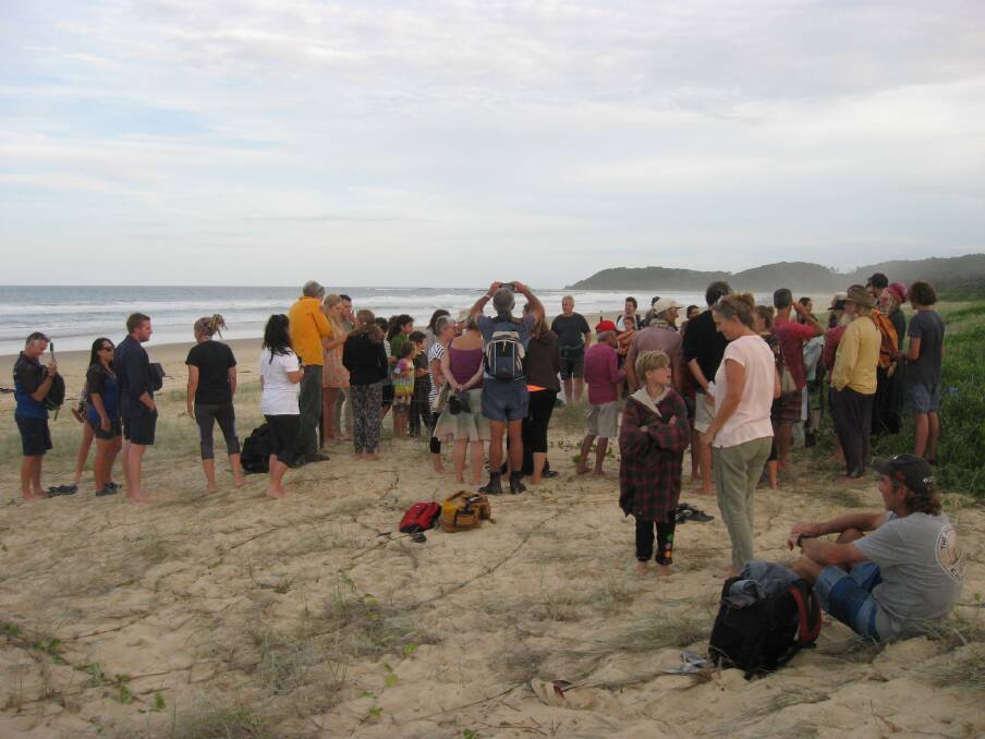 A crowd of locals gathered to watch the excavation of a rare Green Turtle nest. 
Photo: Lyn Rees