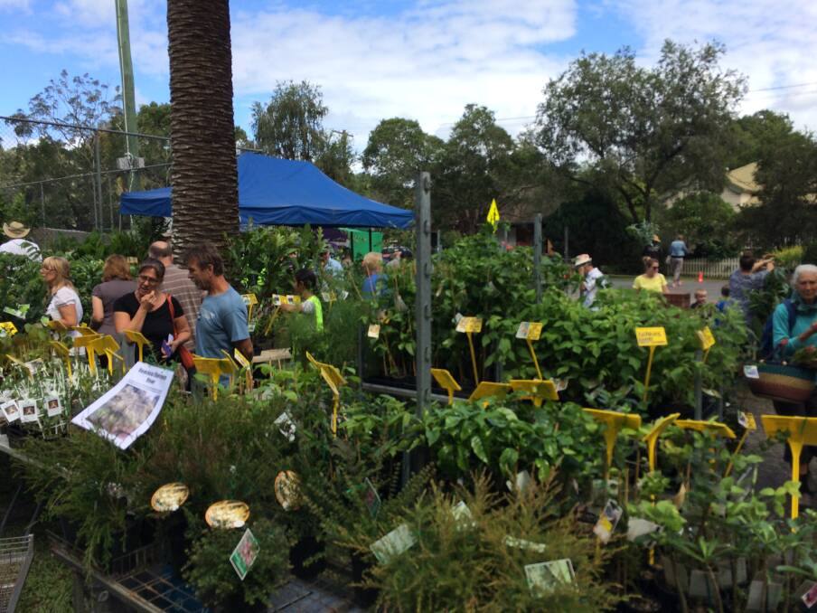 Spring Plant Fair joins forces with Growers Market