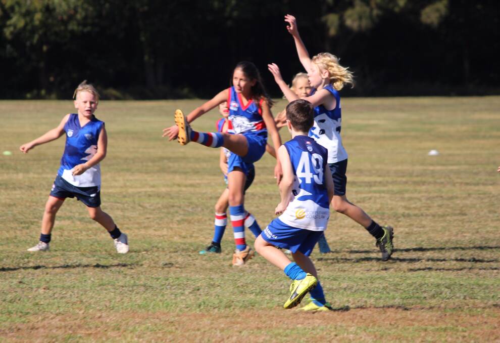Molly Bowd in action for Under 11s Bellingen Bulldogs team in their best victory of the season against Northern Beaches Blues