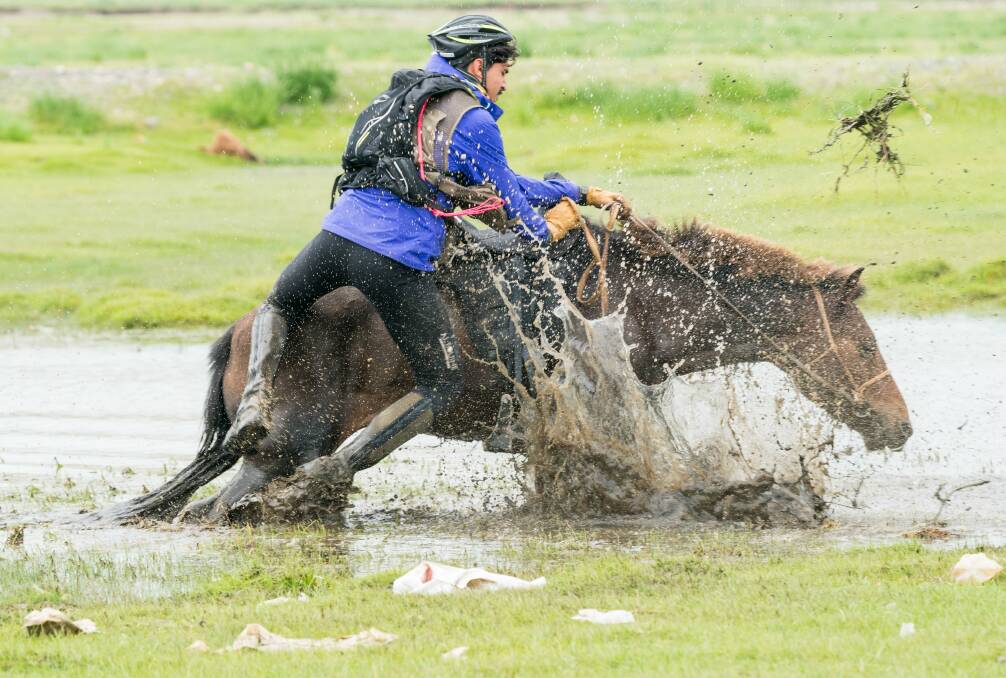 Saif Noon's horse taking a roll in the mud. Photo Laurence Squire @ Mongol Derby 2018
