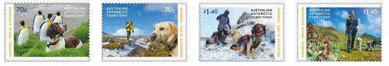 In 2015, Australia Post released a series of stamps to honour the dogs that worked on the huge project to eradicate feral animals from Macquarie Island.