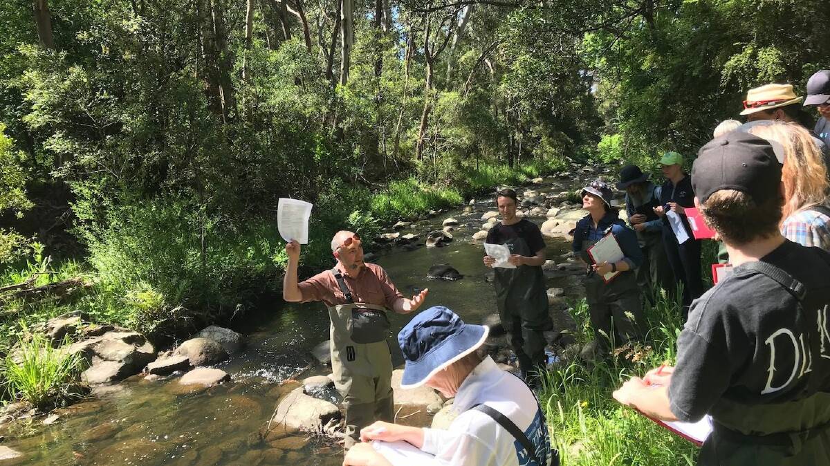 The National Waterbug Blitz, Australia’s first nationwide waterway monitoring event, is coming to Bellingen