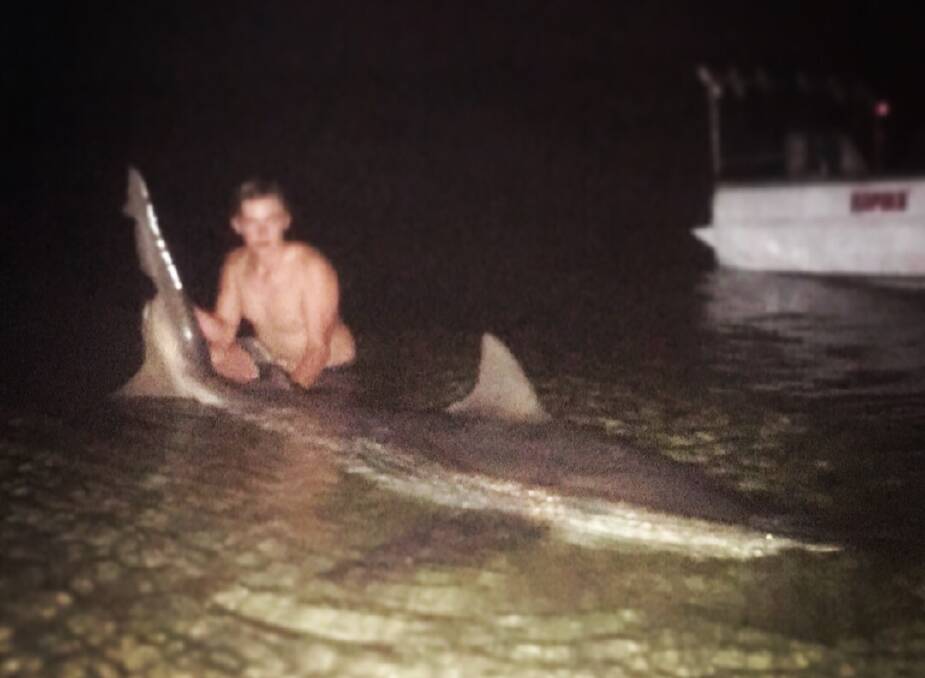 Kai George, 16, with his catch on a sand bar at Lilli Pilli before the shark was released. Picture: supplied