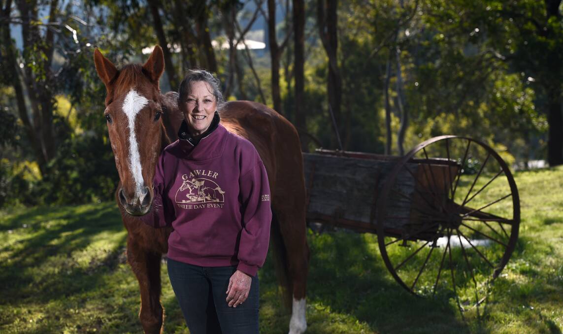 PARTNERS: Owner Debbie Ross with Studebaker, who could be Australia's oldest thoroughbred as he turns 36 on August 1. Picture: Adam Trafford